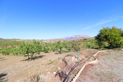 Landejendom i Velez-Rubio, Almeria, Velez-Rubio - € 170.000 | Ref: 3054-CH - foto 32